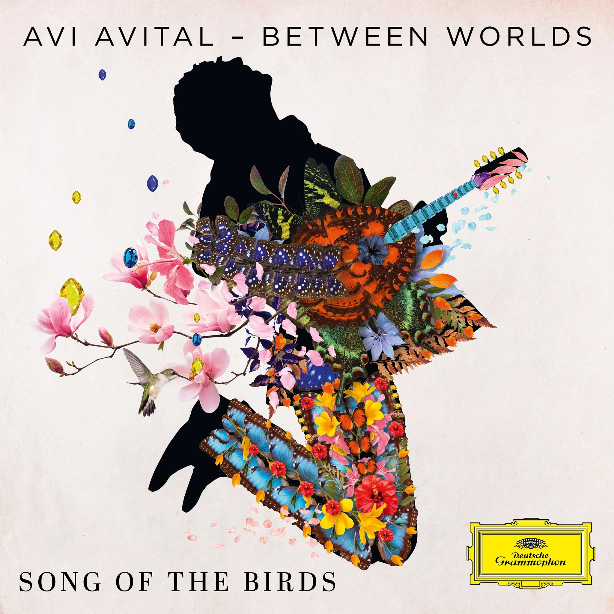 Song of the Birds - Image 2