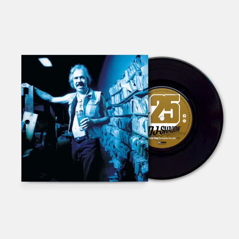 Endtroducing Remixes - Image 2